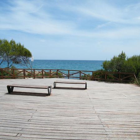 Apartamento Frente Al Mar En Alcossebre Lägenhet Exteriör bild